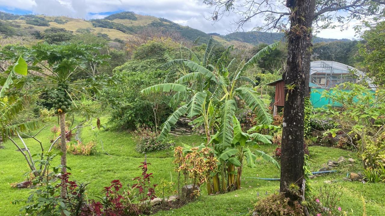 Chorotega Cabina Hotell Monteverde Eksteriør bilde